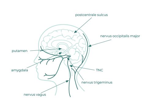 Nervus vagus stimuleren bij migraine – rust en herstel